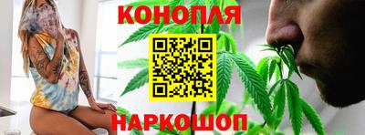 apvp Можга