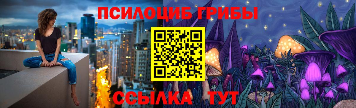 Псилоцибиновые грибы прущие грибы Тимашёвск
